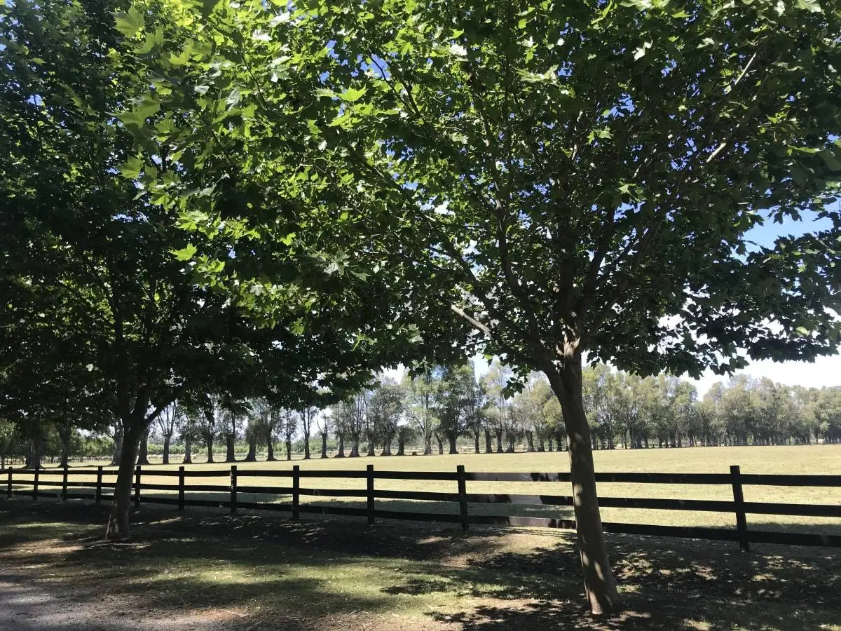 Lote de 1.014 m² en TechnoPolo, General Rodríguez · 9