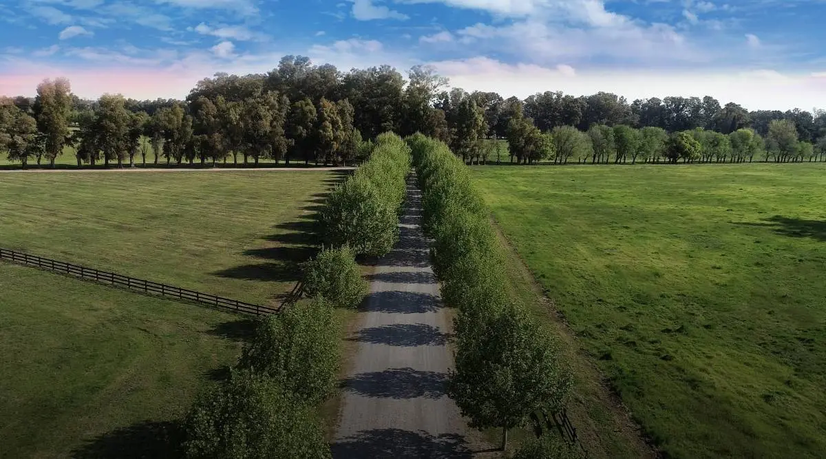 Lote de 1.014 m² en TechnoPolo, General Rodríguez · 15