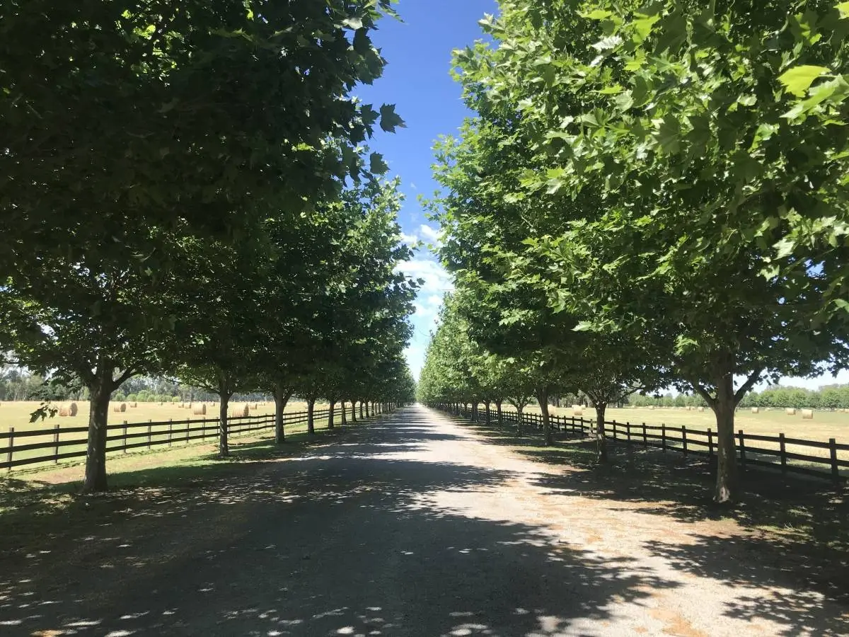 Lote de 1.014 m² en TechnoPolo, General Rodríguez · 13
