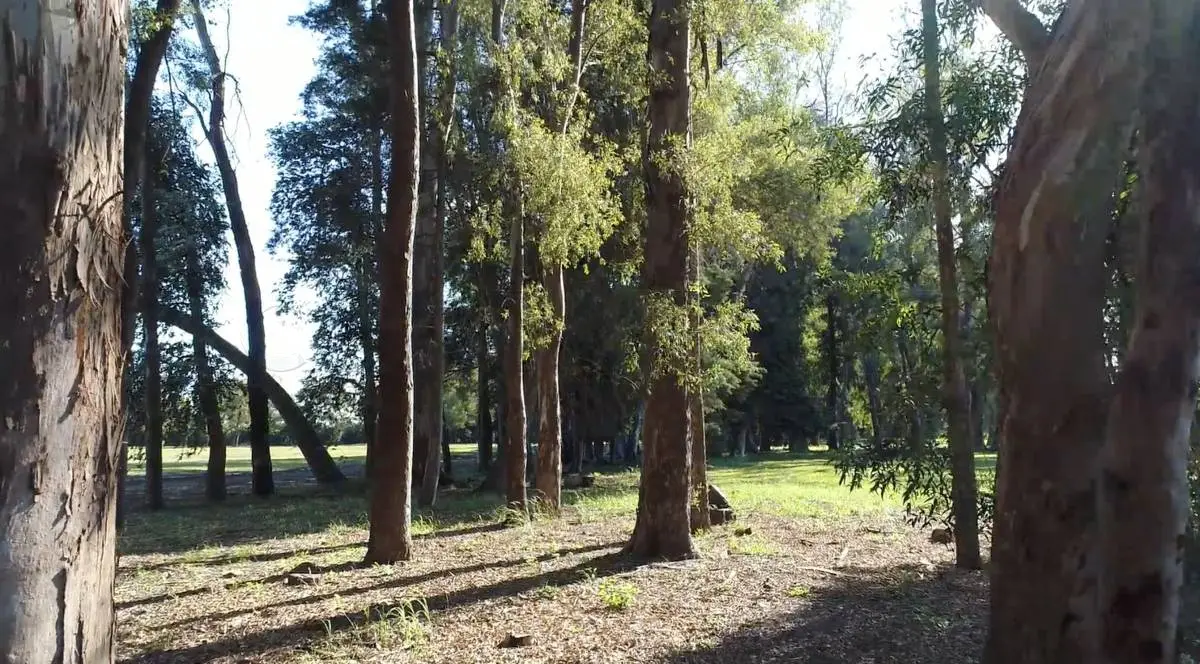 Lote de 1.014 m² en TechnoPolo, General Rodríguez · 18