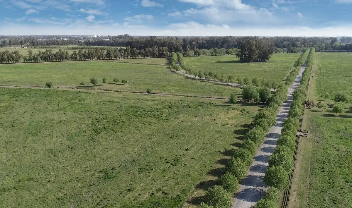 Lote de 1.014 m² en TechnoPolo, General Rodríguez · 17