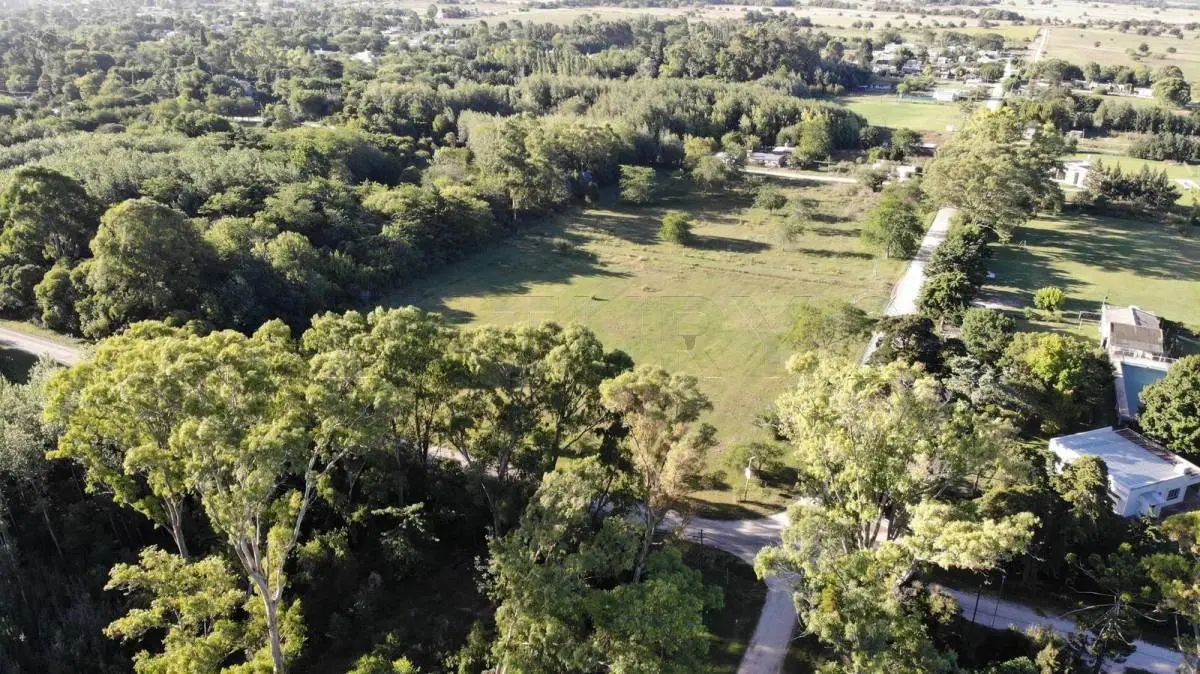 Fracción de 1,5 ha con monte en Magdalena · 3