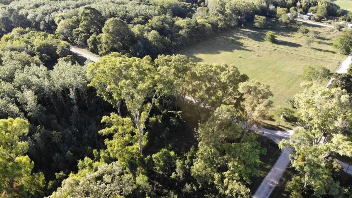 Fracción de 1,5 ha con monte en Magdalena · 2