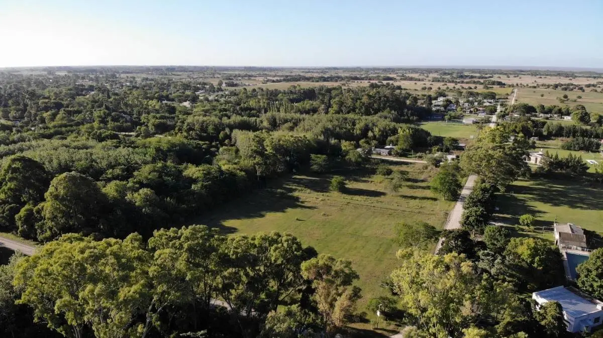 Fracción de 1,5 ha con monte en Magdalena · 4