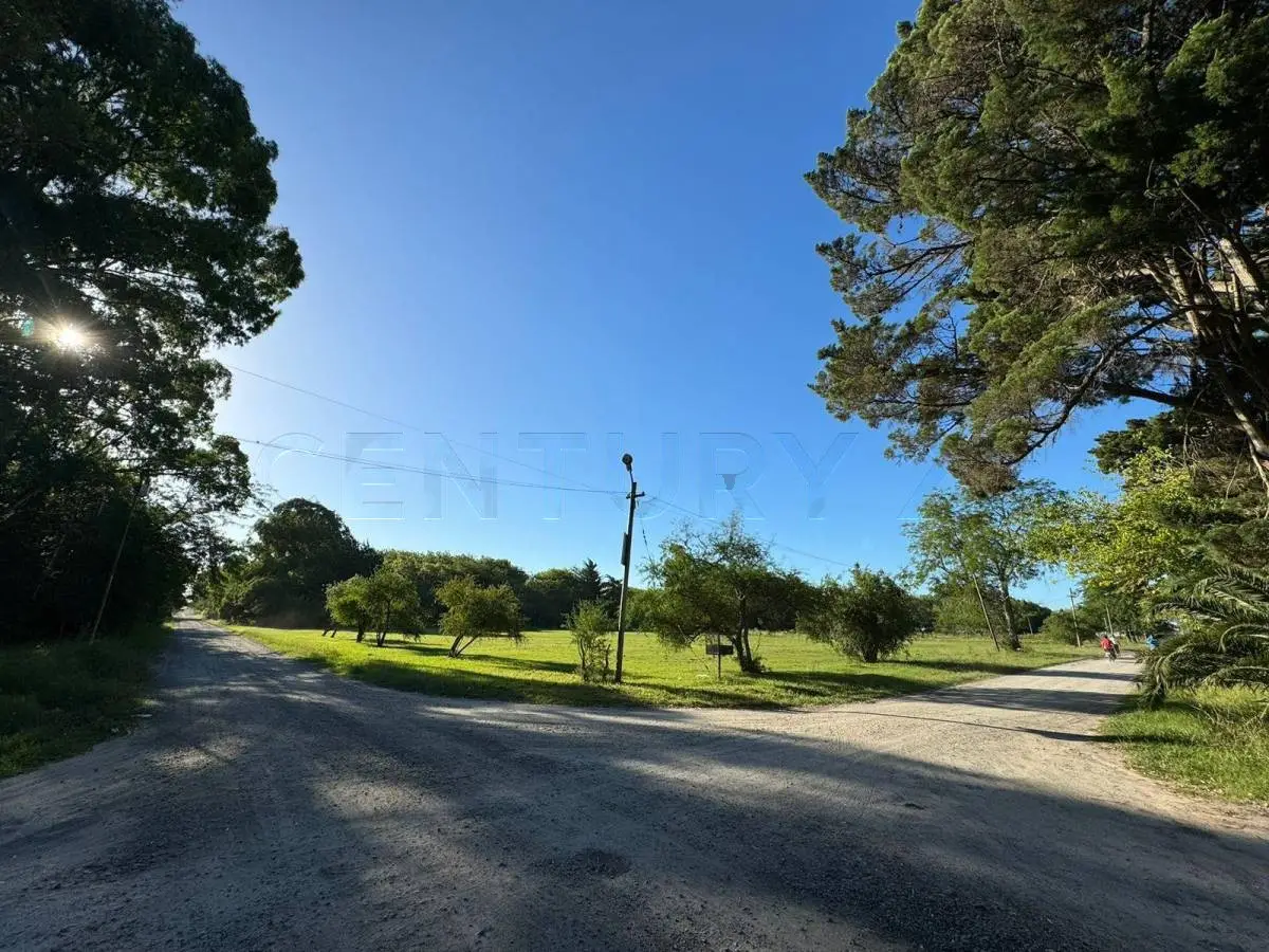 Fracción de 1,5 ha con monte en Magdalena · 9