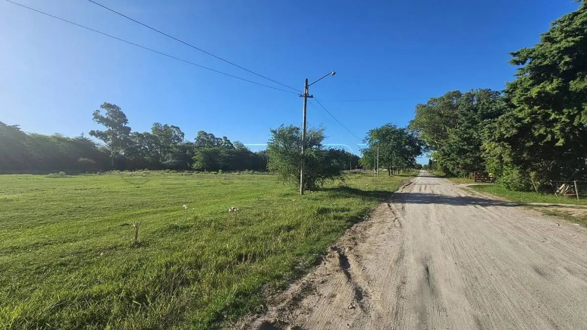 Fracción de 1,5 ha con monte en Magdalena · 5