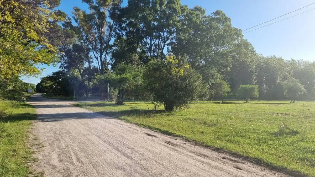 Fracción de 1,5 ha con monte en Magdalena · 6