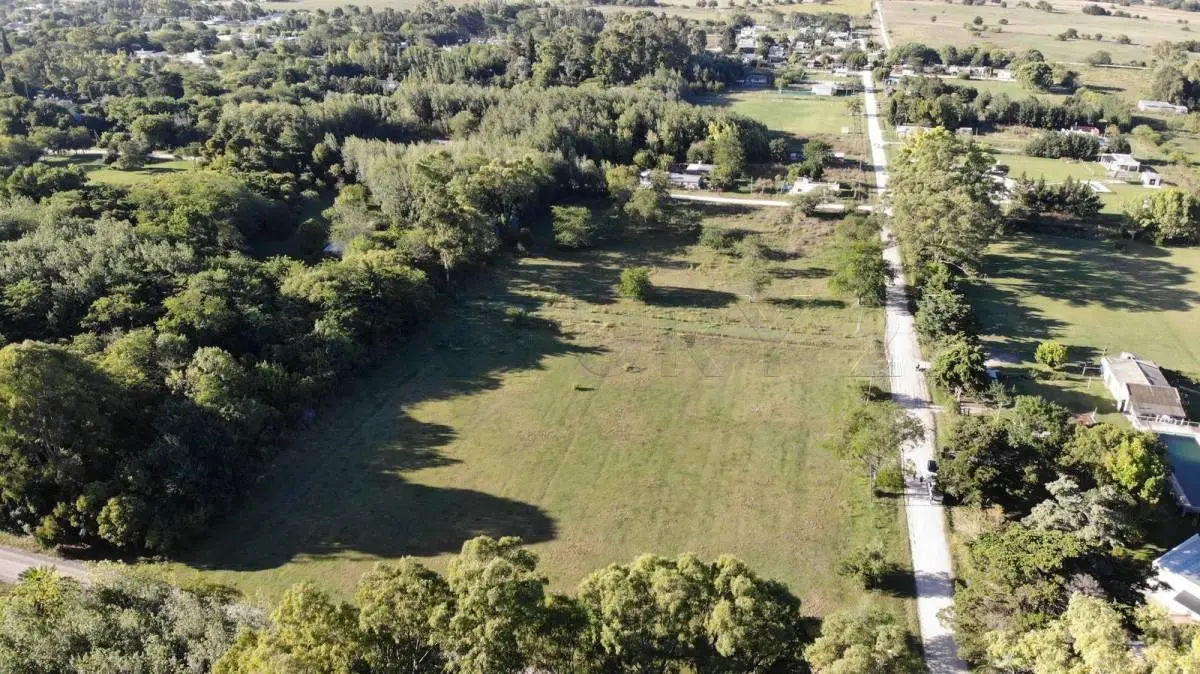 Fracción de 1,5 ha con monte en Magdalena · 10