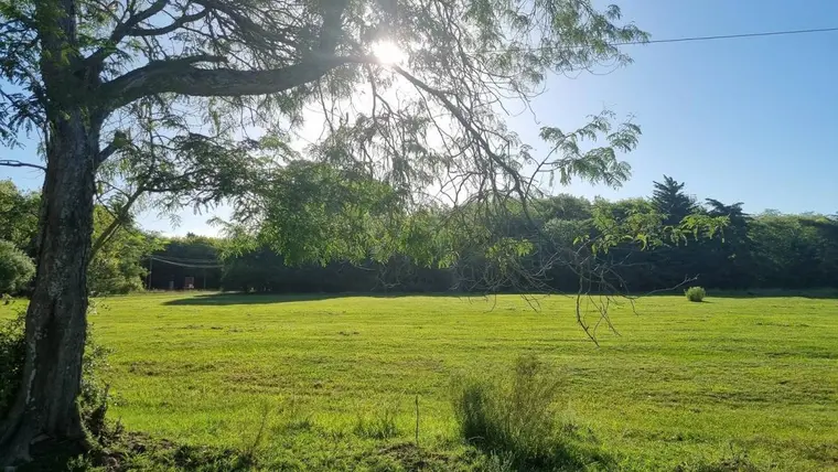 Fracción de 1,5 ha con monte en Magdalena
