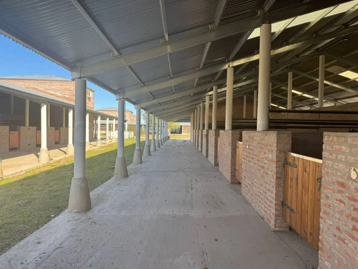 Caballerizas para 16 caballos con 3 departamentos en Puesto Viejo · 2