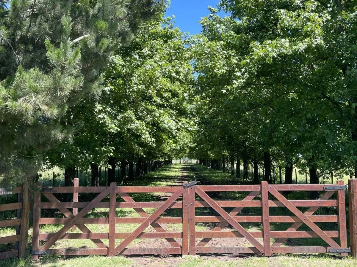 Campo de polo de 25 ha en San Miguel del Monte · 24