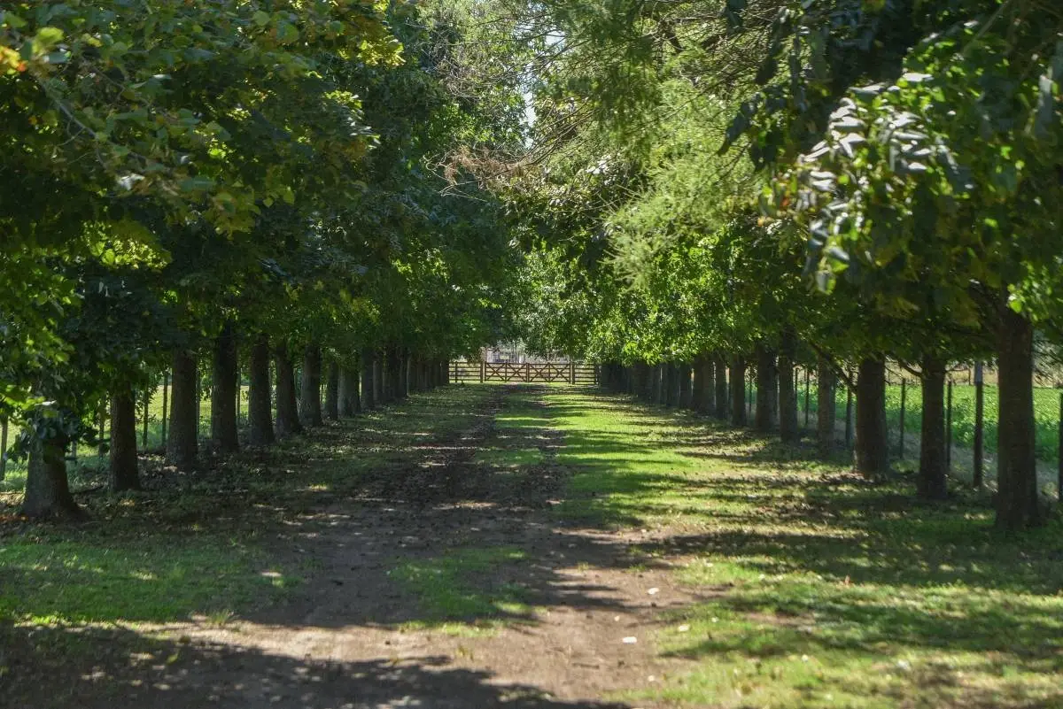 Campo de polo de 25 ha en San Miguel del Monte · 25