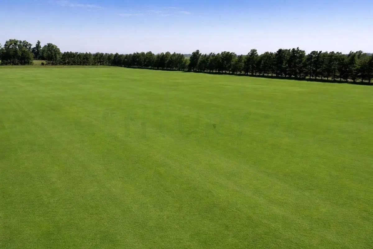 Campo de polo de 25 ha en San Miguel del Monte · 4