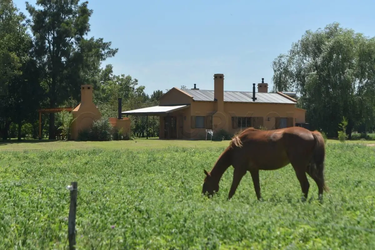 Campo de polo de 25 ha en San Miguel del Monte · 21