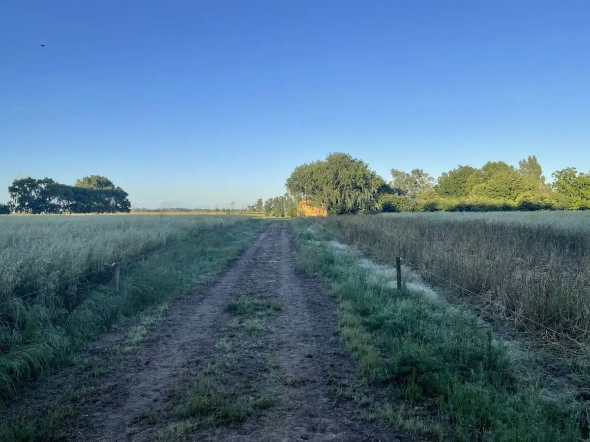 Campo de polo de 25 ha en San Miguel del Monte · 29