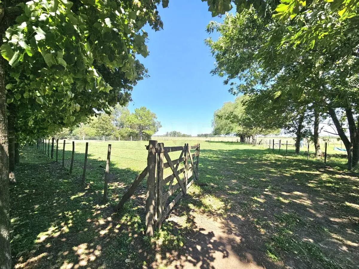 Campo de polo de 25 ha en San Miguel del Monte · 26
