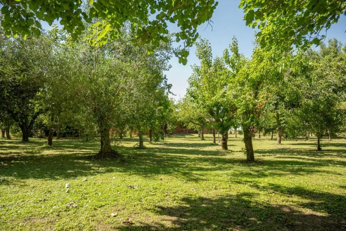 Campo de polo de 25 ha en San Miguel del Monte · 28