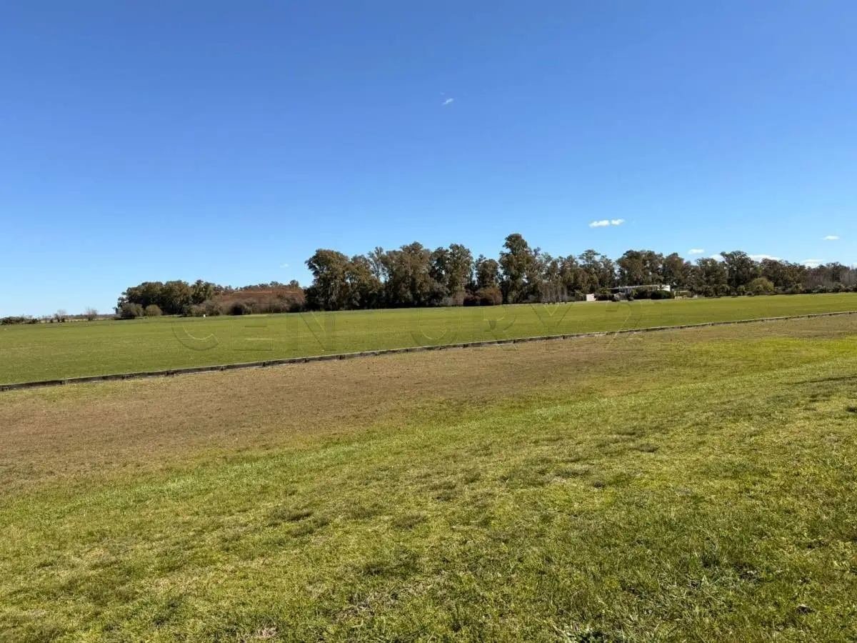 Lote de 1,4 ha frente a la cancha en Santa María de Lobos · 6