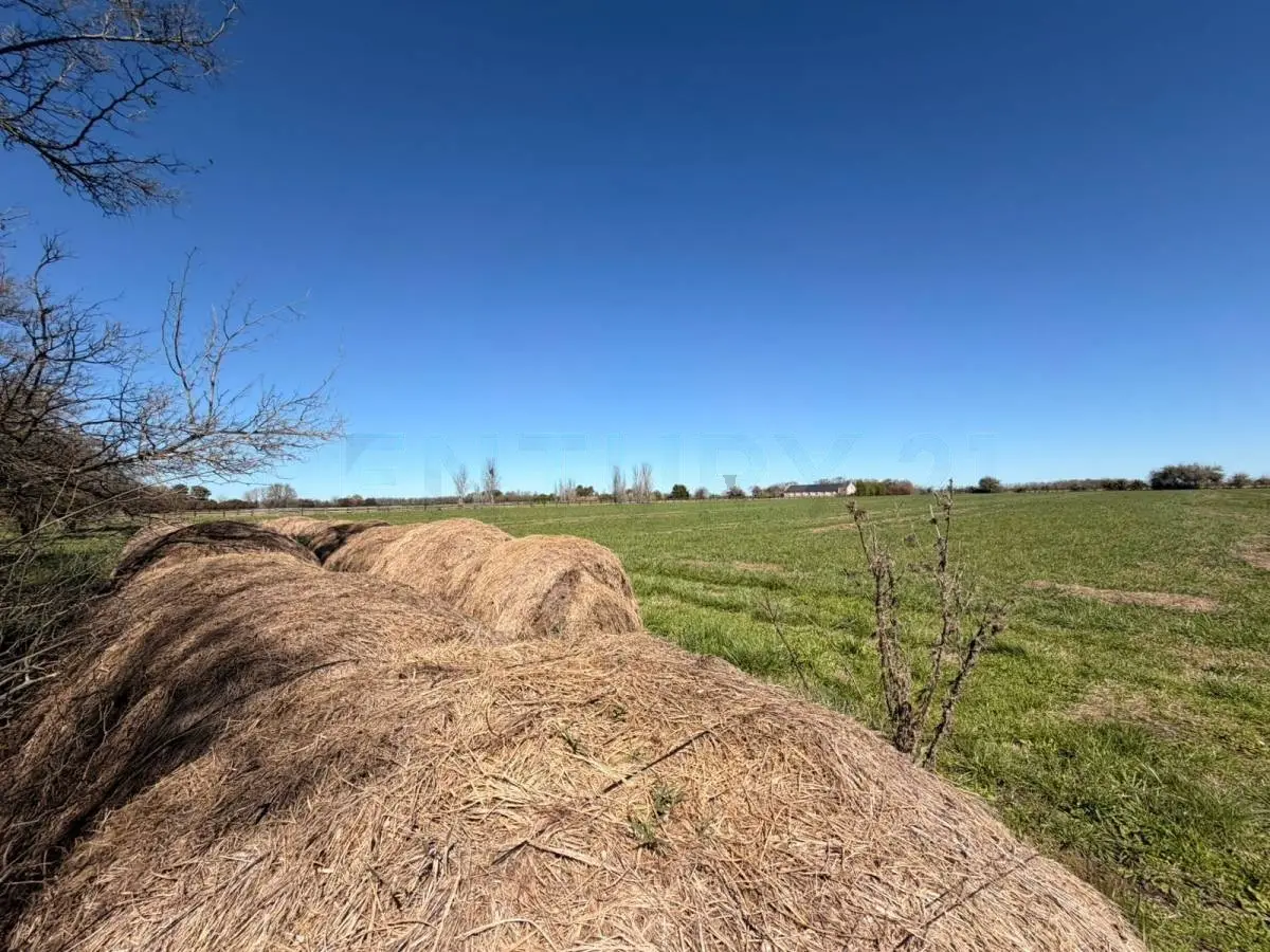 Lote de 1,4 ha frente a la cancha en Santa María de Lobos · 16