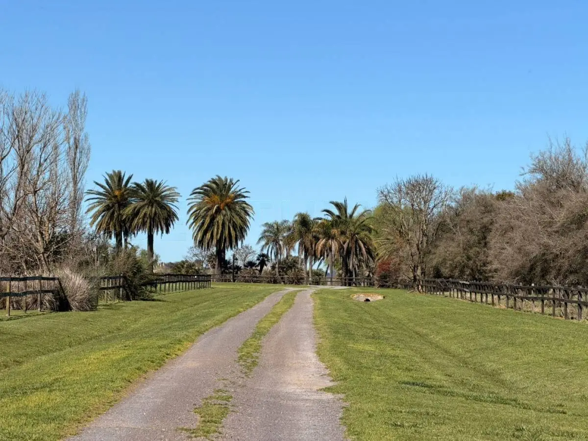 Lote de 1,4 ha frente a la cancha en Santa María de Lobos · 4