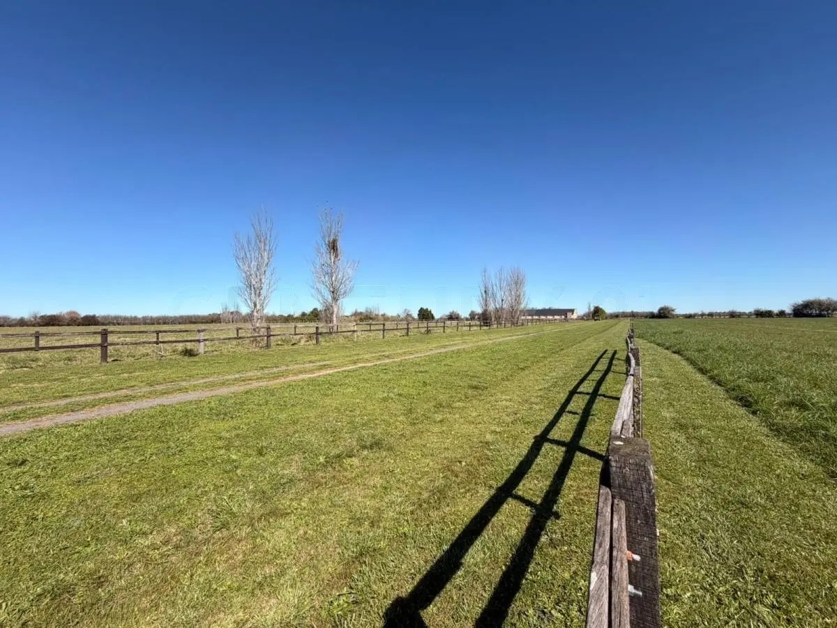 Lote de 1,4 ha frente a la cancha en Santa María de Lobos · 8