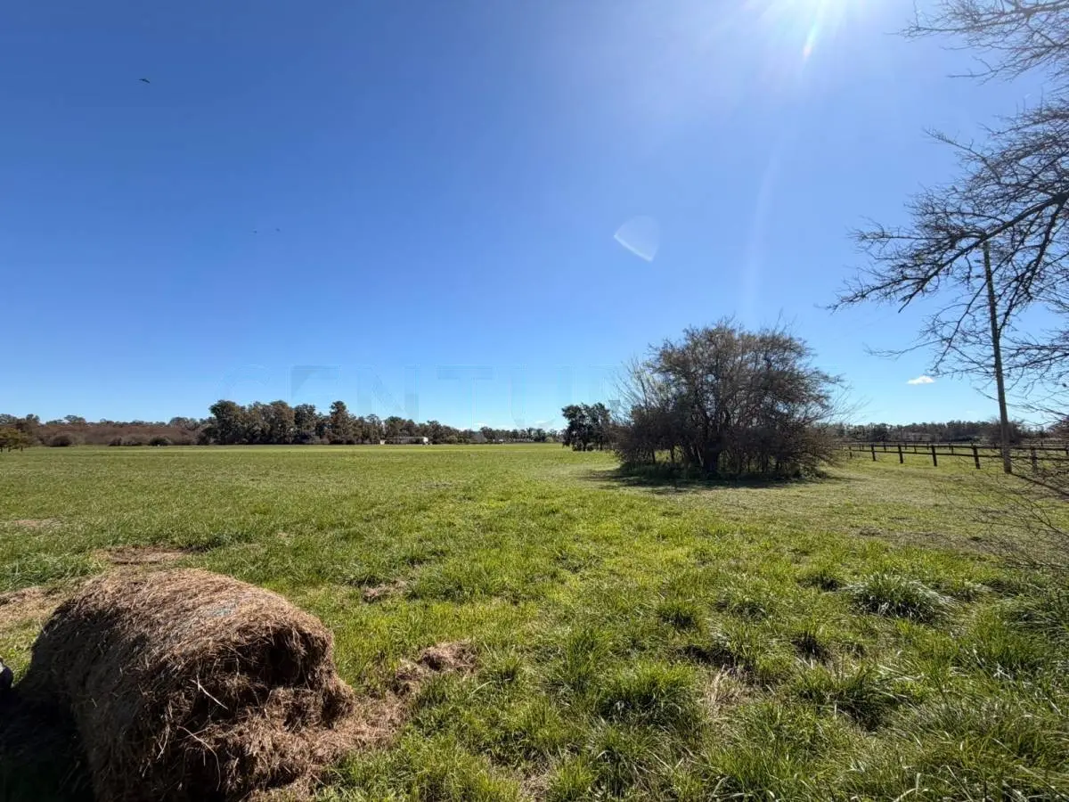 Lote de 1,4 ha frente a la cancha en Santa María de Lobos · 15