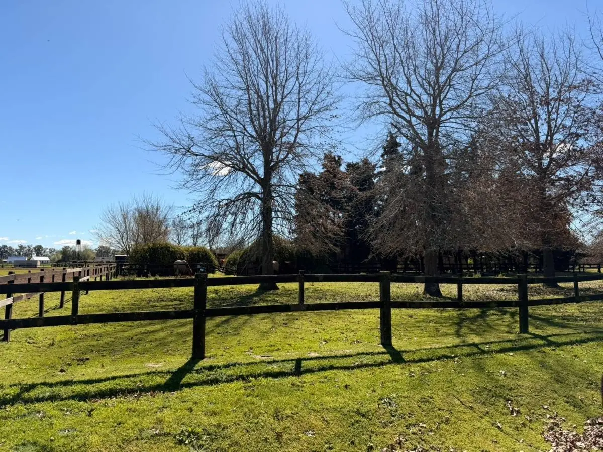 Lote de 1,4 ha frente a la cancha en Santa María de Lobos · 10