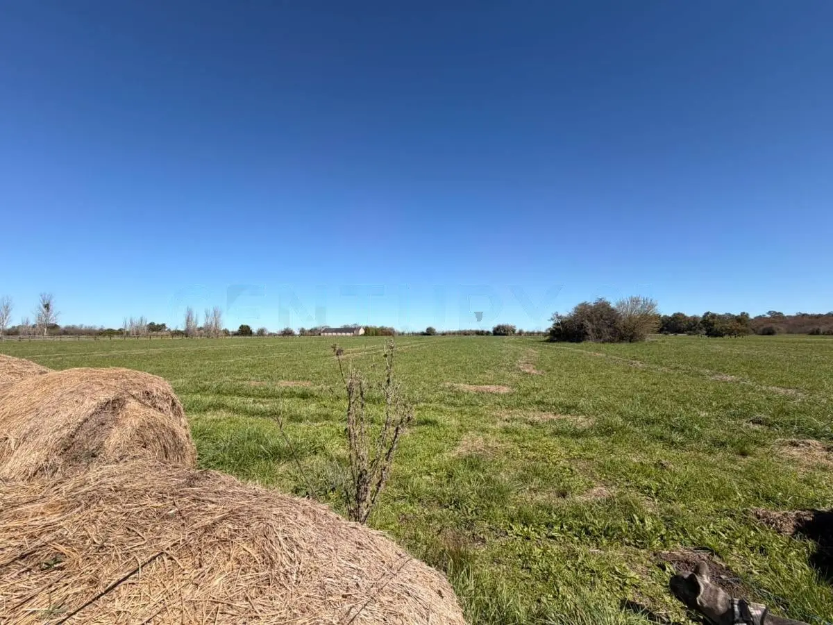 Lote de 1,4 ha frente a la cancha en Santa María de Lobos · 17
