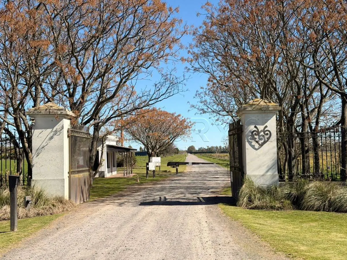 Lote de 1,4 ha frente a la cancha en Santa María de Lobos · 2