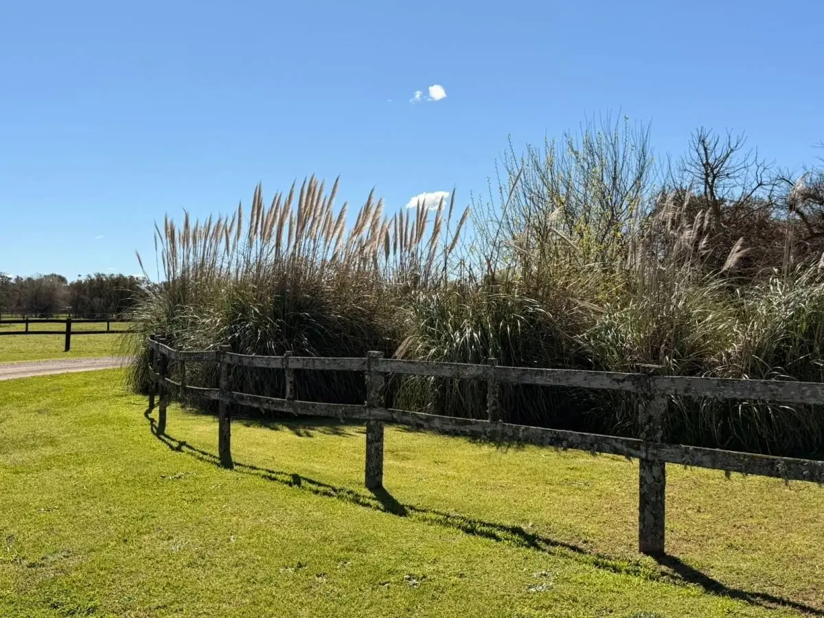 Lote de 1,4 ha frente a la cancha en Santa María de Lobos · 12