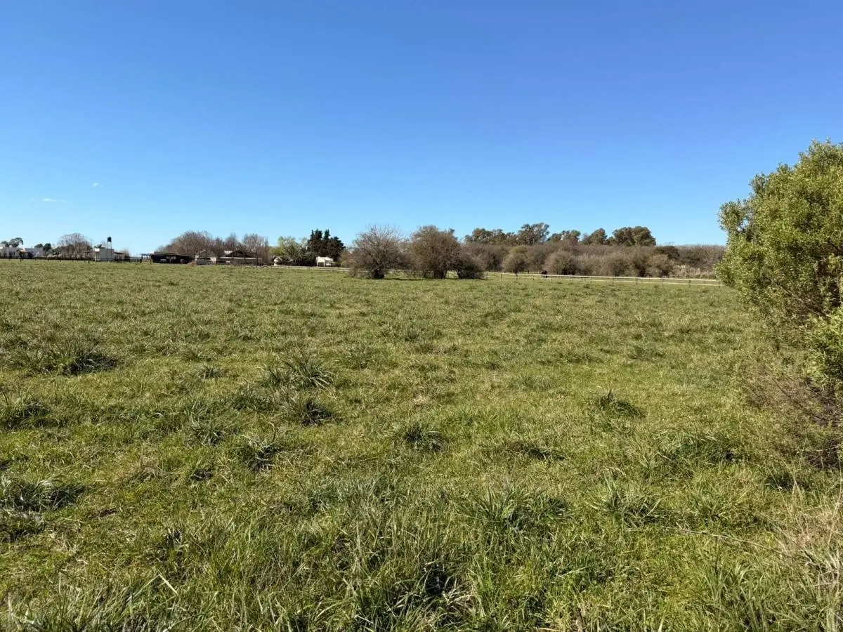 Lote de 1,4 ha frente a la cancha en Santa María de Lobos · 13