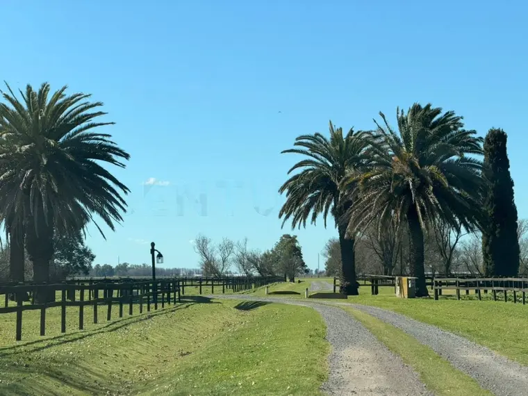 Lote de 1,4 ha frente a la cancha en Santa María de Lobos